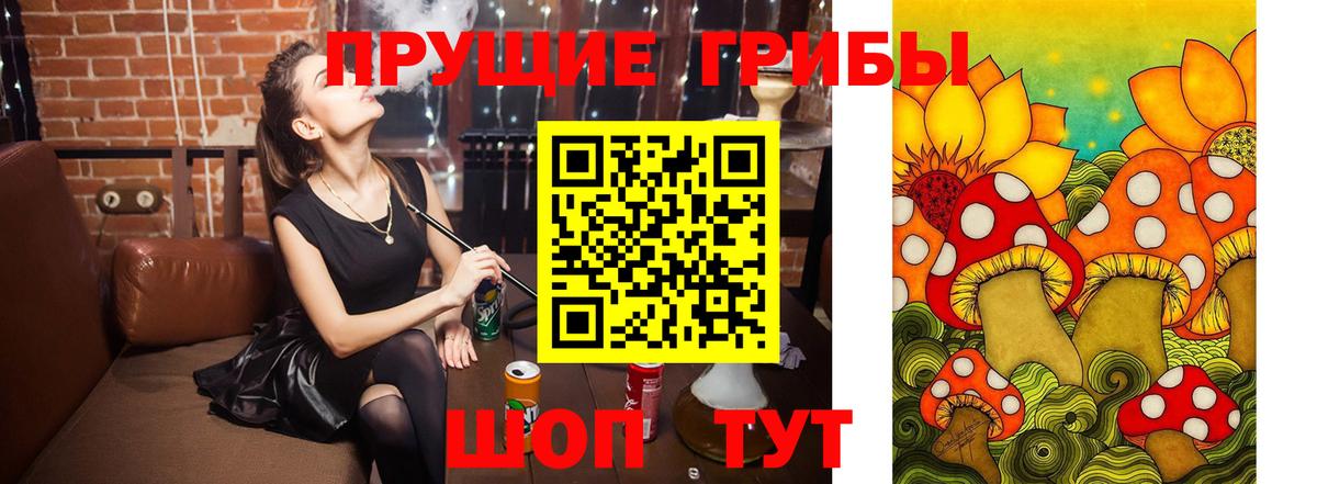 Галлюциногенные грибы Magic Shrooms Кимры